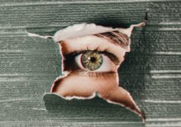 Vision